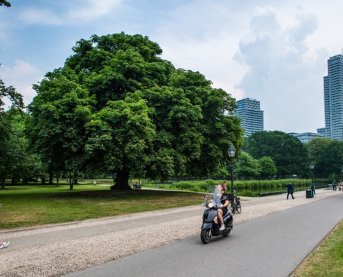 Foto van het Koekamp in Den Haag. Op de voorgrond wandelen en rijden mensen door het park. Op de achtergrond is hoogbouw zichtbaar.