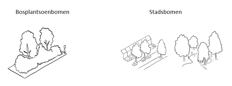 Afbeelding van twee bomen omringd door struikgewas met als titel 'bosplantsoenbomen'