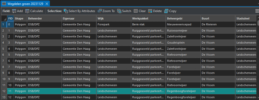 Een schermafdruk van een tabel uit het programma Arcgis. In de tabel staan fysieke vlakken of punten in beheer van de gemeente weergegeven, met daarbij de beheerder, eigenaar, wijk, werkpakket, beheergebied, buurt en stadsdeel aangegeven.