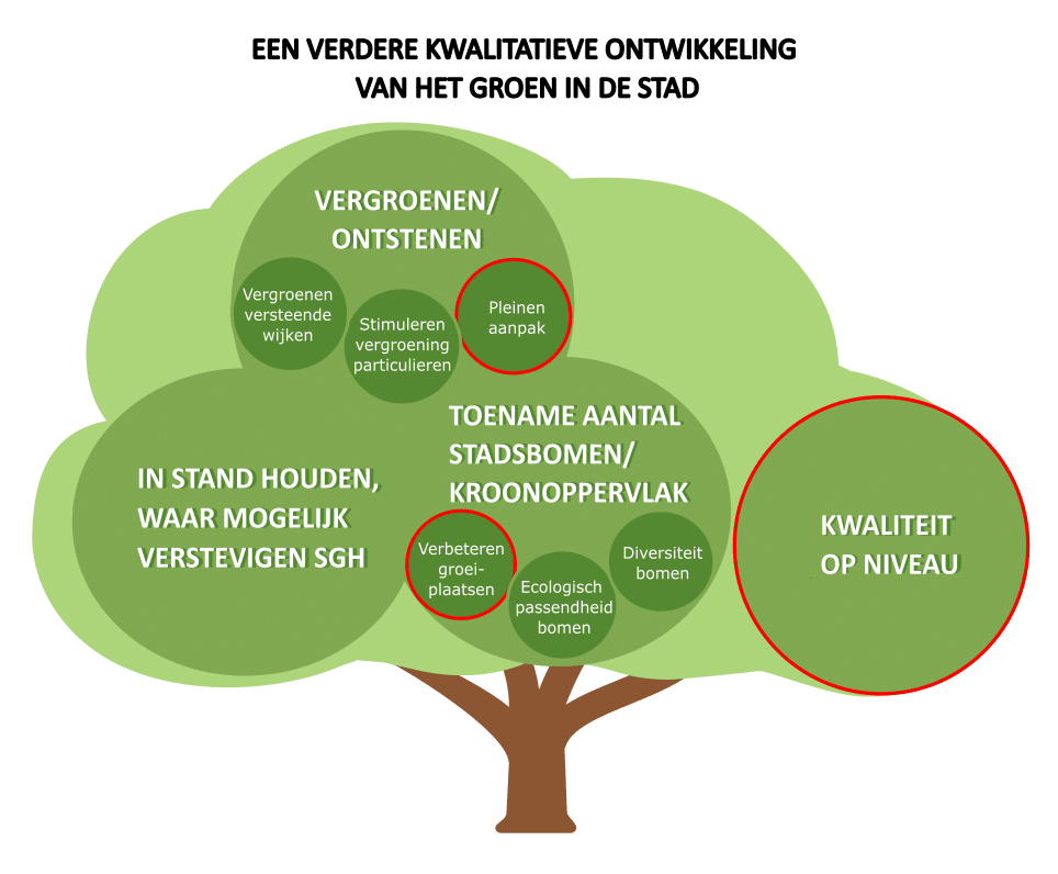Gestileerde boom met daarin de doelen van de gemeente weergegeven. De doelen 'pleinenaanpak', 'verbeteren groeiplaatsen', en 'kwaliteit op niveau' zijn met rood omcirkeld.